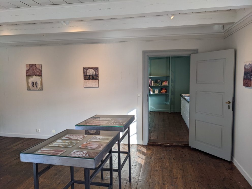 Sýningaropnun - Is it inside my body ~ or is it outside