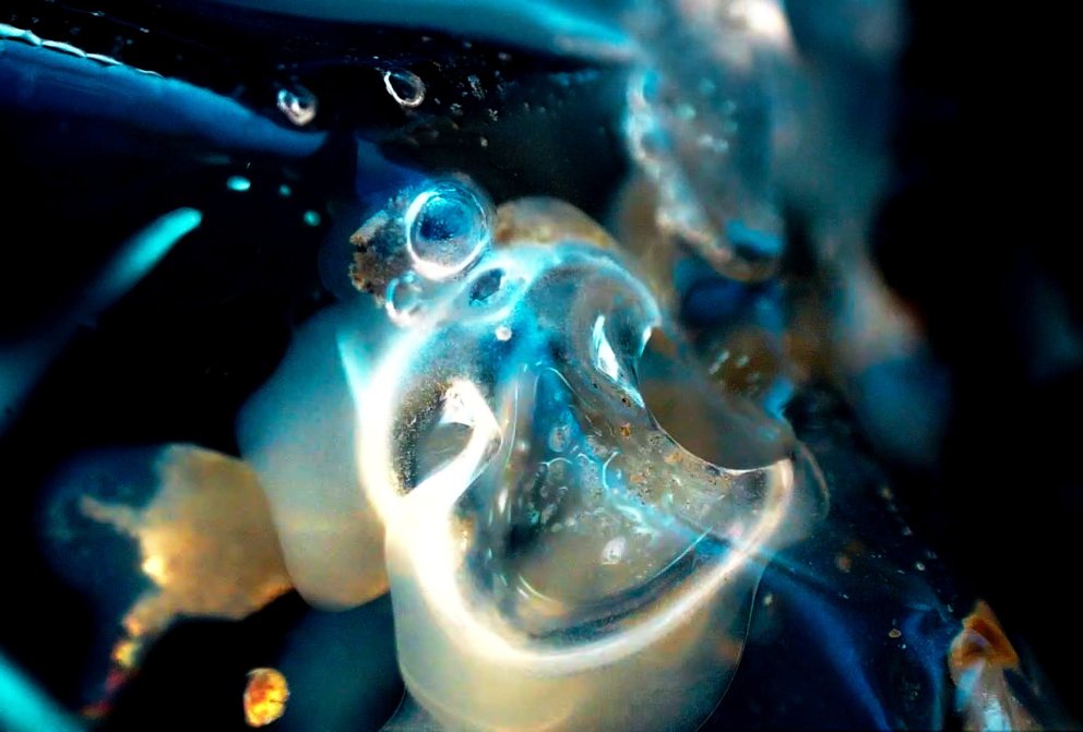 Vendipunktar/Tipping points - sýning í tilefni 180 ára afmæli veðurmælinga Árna Thorlaciusar