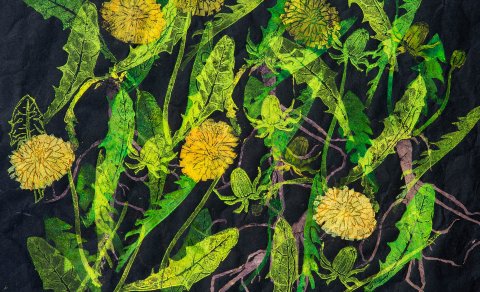 Aftur og aftur en aldrei eins - sýningaropnun