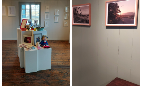 Sumaropnun Norska hússins